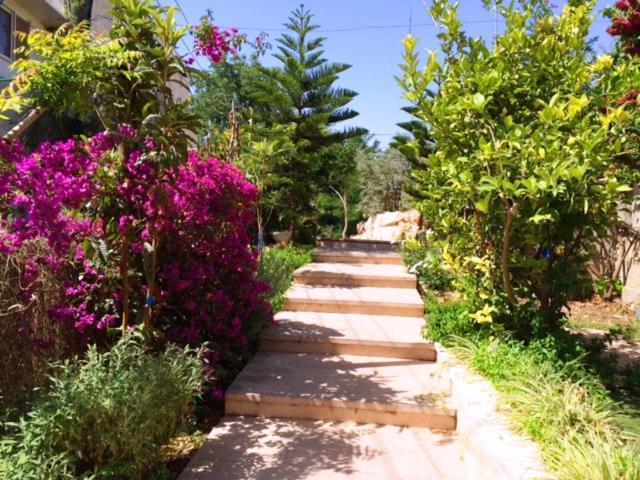 Jerusalem Hills Inn Abu Ghaush Екстериор снимка